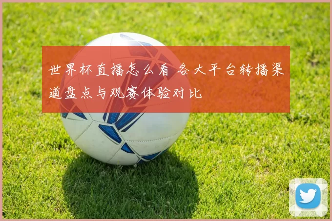 世界杯直播怎么看 各大平台转播渠道盘点与观赛体验对比