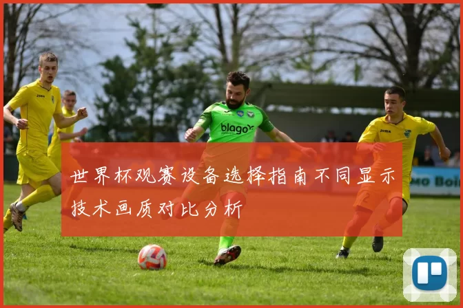 世界杯观赛设备选择指南不同显示技术画质对比分析
