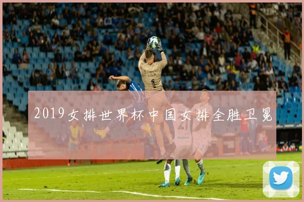 2019女排世界杯中国女排全胜卫冕