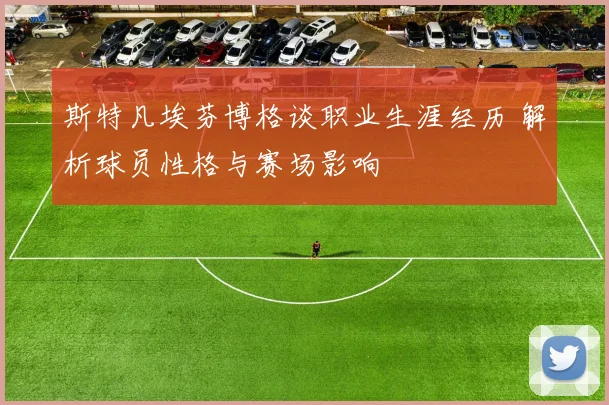 斯特凡埃芬博格谈职业生涯经历 解析球员性格与赛场影响